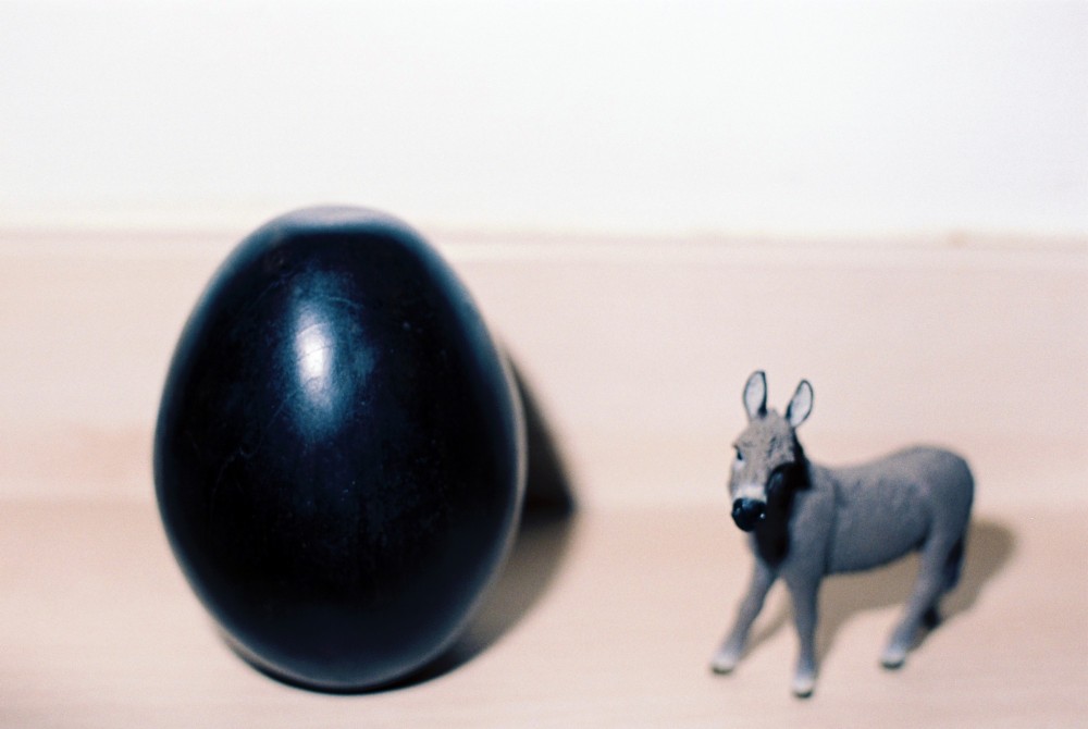 oeuf-anebenjamindosgheas.jpg
